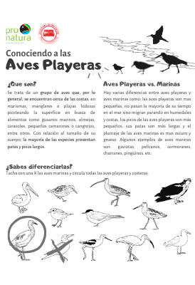 Portada Revista Aves.png